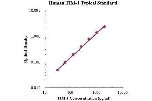 ELISA image for Hepatitis A Virus Cellular Receptor 1 (HAVCR1) ELISA Kit (ABIN3198484)