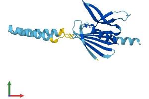 AlphaFold protein structure predicition of Mouse Recombinant Pigh Protein, UniprotID Q5M9N4