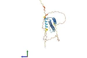 AlphaFold protein structure predicition of Mouse Recombinant Myog Protein, UniprotID P12979