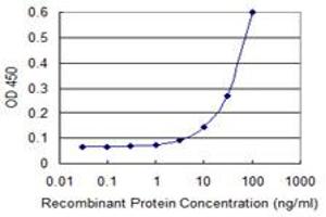 Detection limit for recombinant GST tagged CLIC1 is 3 ng/ml as a capture antibody. (CLIC1 anticorps  (AA 1-241))