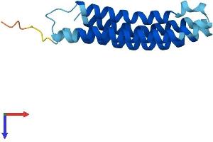 AlphaFold protein structure predicition of Human Recombinant ATP6V0C Protein, UniprotID P27449
