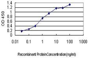 Detection limit for recombinant GST tagged ASNA1 is approximately 0.