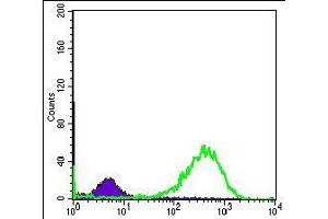 Flow cytometric analysis of Hela cells using HSP60 mouse mAb (green) and negative control (purple).