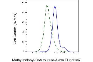 Validation of Methylmalonyl-CoA mutase knockdown using flow cytometry. (Recombinant MUT anticorps)