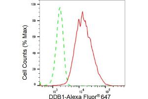 Flow cytometric analysis of DDB1 expression in HepG2 cells using DDB1 antibody (ABIN7798273), 1:2,000). (Recombinant DDB1 anticorps)