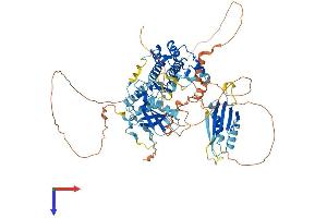 AlphaFold protein structure predicition of Mouse Recombinant Brsk2 Protein, UniprotID Q69Z98