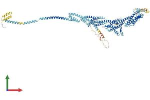 AlphaFold protein structure predicition of Mouse Recombinant Exoc6 Protein, UniprotID Q8R313