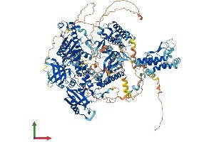 AlphaFold protein structure predicition of Human Recombinant POLA1 Protein, UniprotID P09884