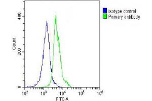 Overlay histogram showing THP-1 cells stained with (ABIN651940 and ABIN2840466) (green line).