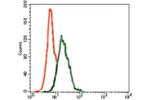 Flow Cytometry (FACS) image for anti-Inner Centromere Protein Antigens 135/155kDa (INCENP) (AA 369-583) antibody (ABIN1844019)