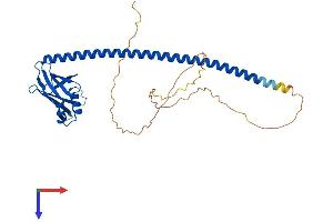 AlphaFold protein structure predicition of Human Recombinant XRCC4 Protein, UniprotID Q13426