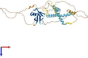 AlphaFold protein structure predicition of Human Recombinant HERPUD2 Protein, UniprotID Q9BSE4
