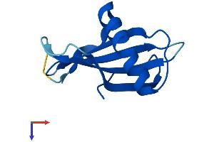 AlphaFold protein structure predicition of Human Recombinant CSTA Protein, UniprotID P01040