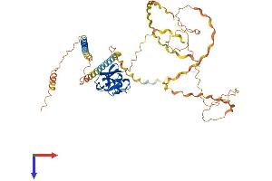 AlphaFold protein structure predicition of Human Recombinant MARCO Protein, UniprotID Q9UEW3
