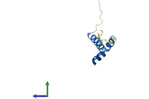 AlphaFold protein structure predicition of Mouse Recombinant Ctnnbip1 Protein, UniprotID Q9JJN6