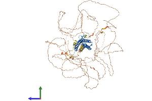 AlphaFold protein structure predicition of Mouse Recombinant Meioc Protein, UniprotID A2AG06 (Gm1564 (AA 1-965) protein (His tag))