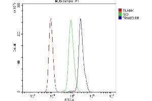 Flow Cytometry analysis of HL-60 cells using anti- TIF1 gamma/TRIM33 antibody (ABIN7599621). (TRIM33 anticorps  (AA 1001-1127))