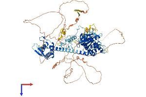 AlphaFold protein structure predicition of Human Recombinant PAN3 Protein, UniprotID Q58A45