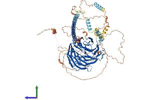 AlphaFold protein structure predicition of Mouse Recombinant Strn3 Protein, UniprotID Q9ERG2