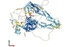 AlphaFold protein structure predicition of Human Recombinant KDM5C Protein, UniprotID P41229