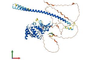 AlphaFold protein structure predicition of Human Recombinant RACGAP1 Protein, UniprotID Q9H0H5