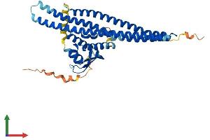 AlphaFold protein structure predicition of Mouse Recombinant Snx7 Protein, UniprotID Q9CY18