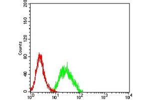 Flow cytometric analysis of CD307E cells using CD307E mouse mAb (green) and negative control (red).