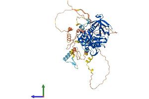 AlphaFold protein structure predicition of Mouse Recombinant Grb10 Protein, UniprotID Q60760
