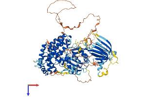AlphaFold protein structure predicition of Mouse Recombinant Pik3r5 Protein, UniprotID Q5SW28