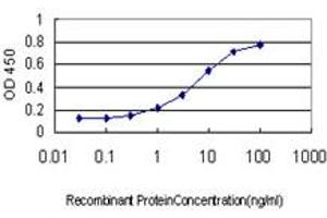 Detection limit for recombinant GST tagged BVES is approximately 0.