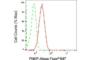 Flow cytometric analysis of PNKP expression in HT- cells using PNKP antibody (ABIN7799880), 1:2,000).