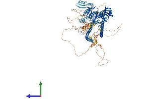 AlphaFold protein structure predicition of Human Recombinant CARD11 Protein, UniprotID Q9BXL7