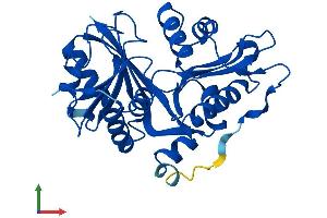 AlphaFold protein structure predicition of Mouse Recombinant Glyat Protein, UniprotID Q91XE0