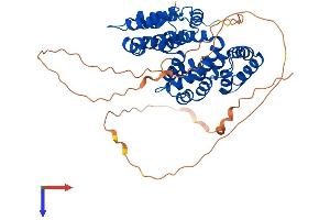 AlphaFold protein structure predicition of Human Recombinant ANXA7 Protein, UniprotID P20073
