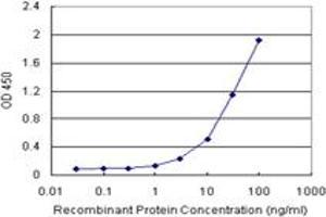 Sandwich ELISA detection sensitivity ranging from 1 ng/mL to 100 ng/mL. (T (Humain) Matched Antibody Pair)