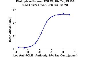 Immobilized Biotinylated Human FOLR1, His at 0.