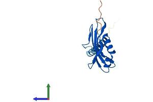 AlphaFold protein structure predicition of Human Recombinant COA1 Protein, UniprotID Q9GZY4