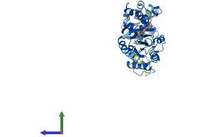 AlphaFold protein structure predicition of Mouse Recombinant Gna13 Protein, UniprotID P27601