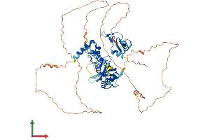 AlphaFold protein structure predicition of Mouse Recombinant Irf2bp1 Protein, UniprotID Q8R3Y8