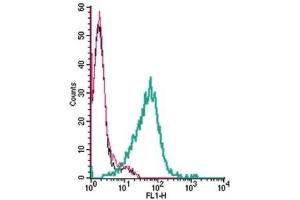 Cell surface detection of TRPA1 by indirect flow cytometry in live intact human MEG-01 megakaryocytic leukemia cells: (black line) Cells.