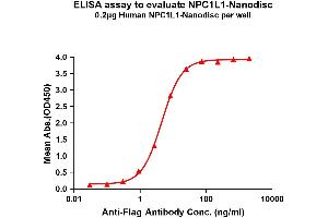 Elisa plates were pre-coated with Flag Tag L1-Nanodisc (0.
