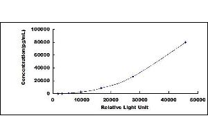 ELISA image for Connective Tissue Growth Factor (CTGF) CLIA Kit (ABIN1081336)
