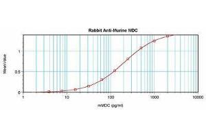 Image no. 3 for anti-Chemokine (C-C Motif) Ligand 22 (CCL22) antibody (ABIN464841) (CCL22 anticorps)