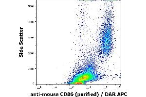 Flow cytometry surface staining pattern of murine peritoneal fluid cells suspension stained using anti-mouse CD86 (GL-1) purified antibody (concentration in sample 0,6 μg/mL) DAR APC. (CD86 anticorps)