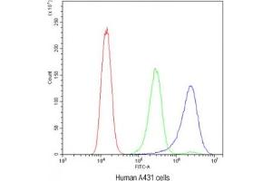 Flow cytometry testing of human A431 cells with BIK antibody at 1ug/10^6 cells (blocked with goat sera) (BIK anticorps  (AA 1-123))