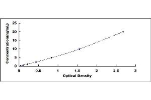 Typical standard curve