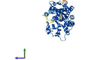 AlphaFold protein structure predicition of Mouse Recombinant Chst4 Protein, UniprotID Q9R1I1