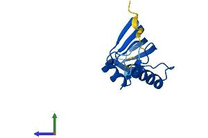AlphaFold protein structure predicition of Mouse Recombinant Lsm10 Protein, UniprotID Q8QZX5