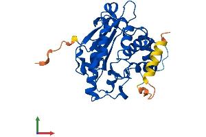 AlphaFold protein structure predicition of Mouse Recombinant Cnot8 Protein, UniprotID Q9D8X5