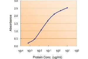 Sandwich ELISA using the DGAT2 antibody at 0. (DGAT2 anticorps)